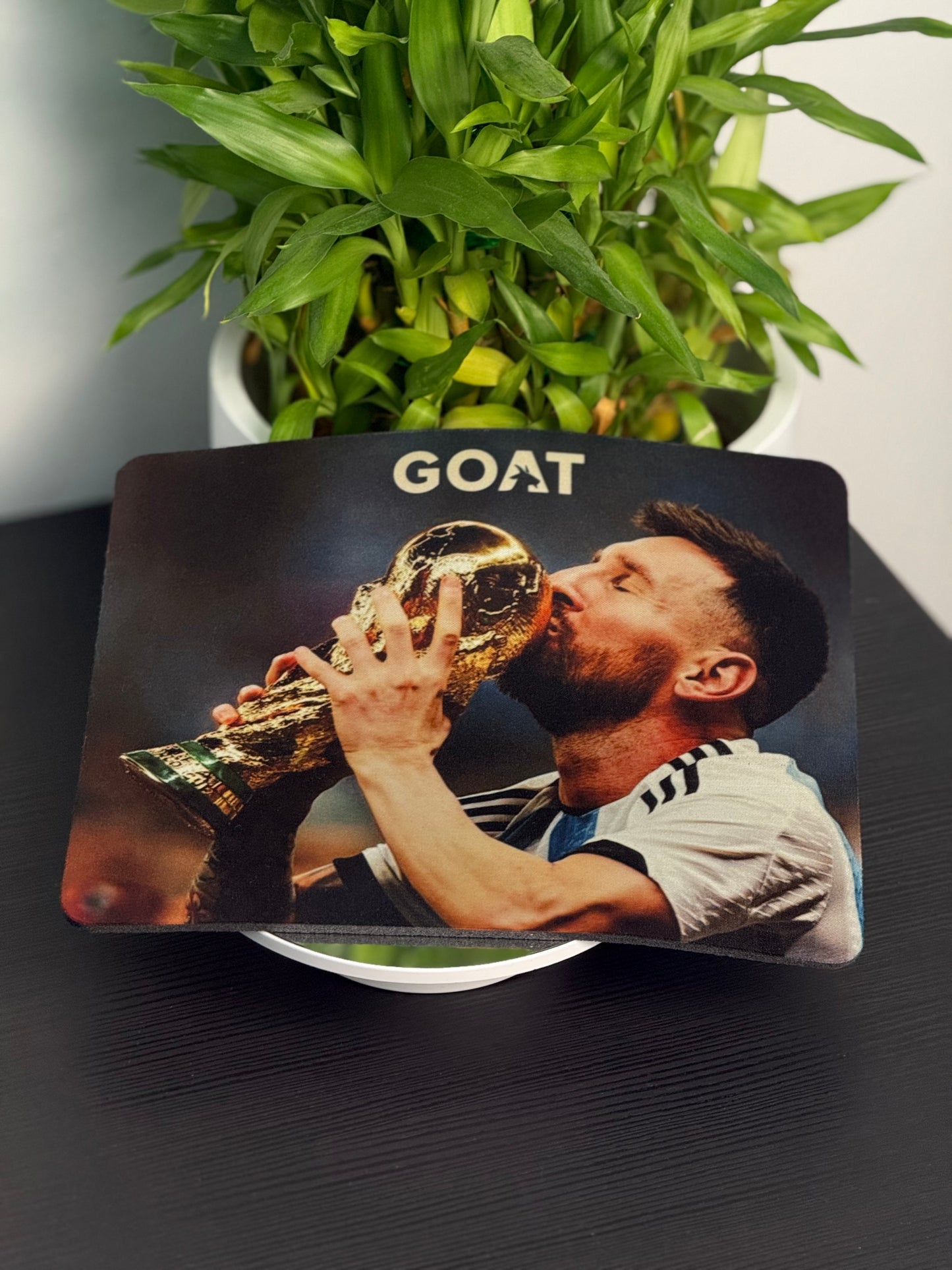 The Ultimate Fan Box