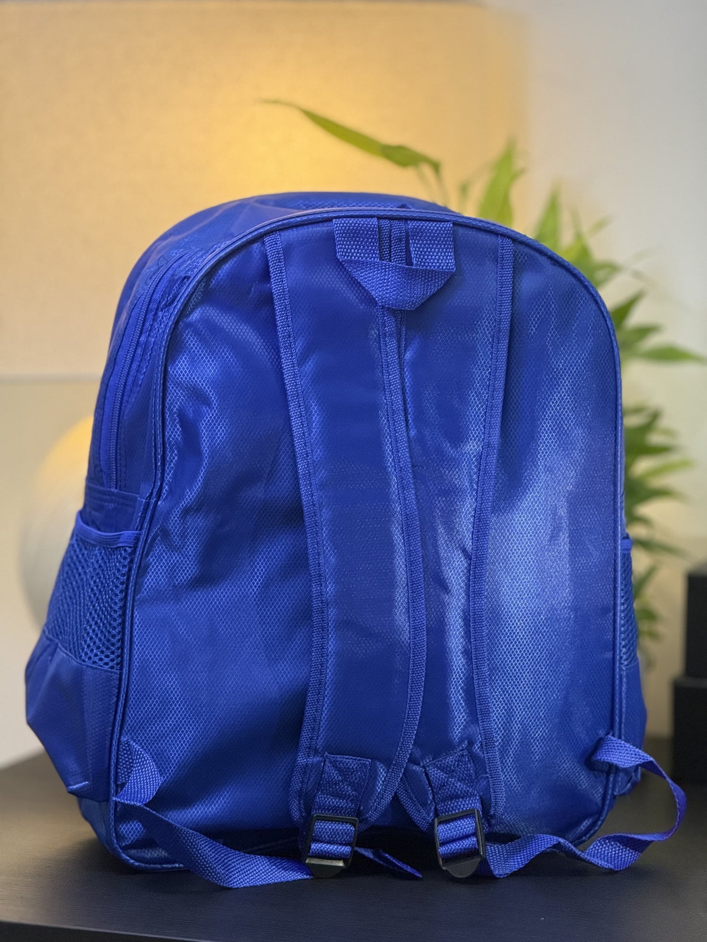 School Bag